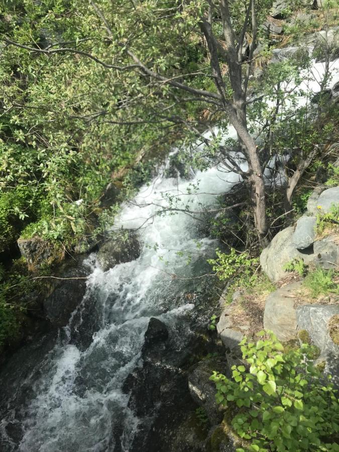Oppdal Alpintun Lägenhet Exteriör bild